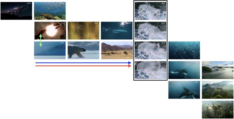 Screenshots zur Szenenprogression aus dem Film OUR PLANET